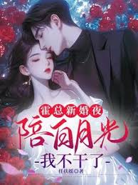 霍總追妻悔哭了