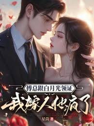 我改嫁後傅總瘋了