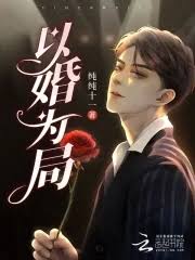婚後入他懷