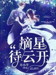 星落待雲開