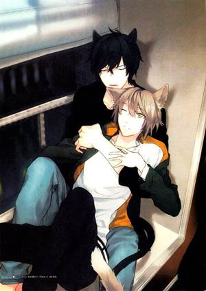 獸人之雌性的反攻