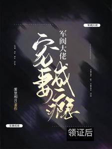 領證後軍閥寵妻