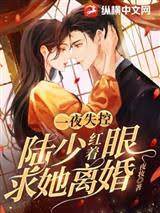 失控夜陸少求離婚