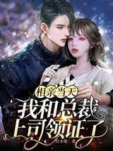 相親閃婚霸總上司