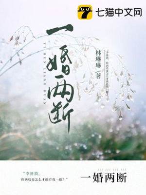 一婚成殇