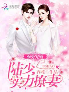 強勢寵婚︰陸少，實力撩妻