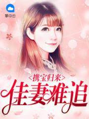 携宝归来难追妻