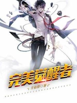 完美覺醒者