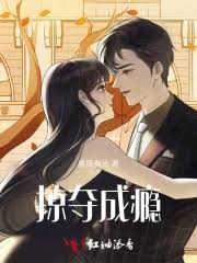 偏執掠愛
