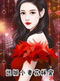 迷糊嬌妻太受寵