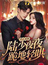 陸少跪求別離婚