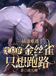 沈總的逃籠雀