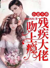 小妻難馴陸少成癮