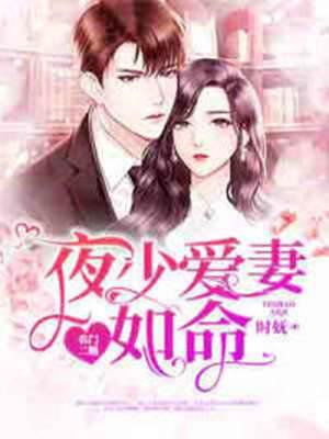 二婚入夜門