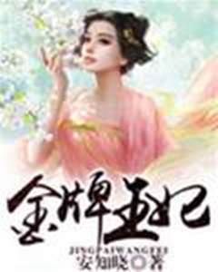 金牌王妃