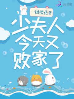 少夫人她超败家