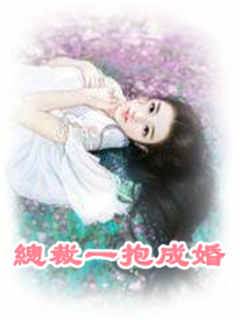 總裁一抱成婚