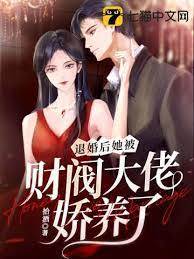 退婚後嫁財閥