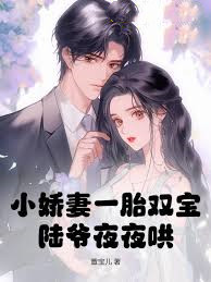 雙寶嬌妻陸爺寵