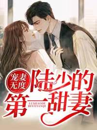 陸少的新婚甜妻