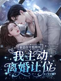 秦總白月光回國，我主動離婚讓位