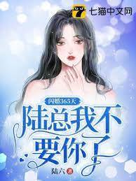 陸總，離婚吧