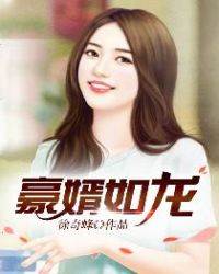豪婿如龍