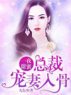 一夜甜蜜：總裁寵妻入骨