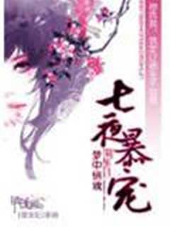 七夜暴寵