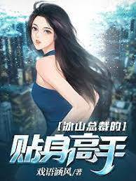 冰山總裁的貼身高手