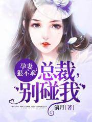 妻來孕轉：總裁輕一點