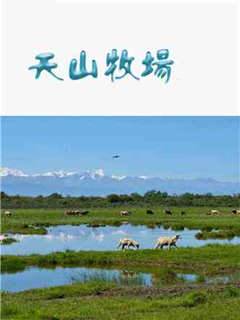 天山牧場