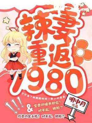 重生辣妻1980