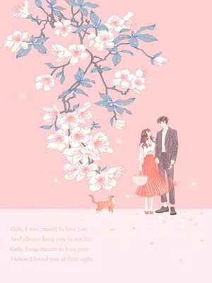 宗先生婚謀入骨