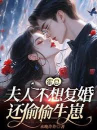 霍總夫人藏崽離婚