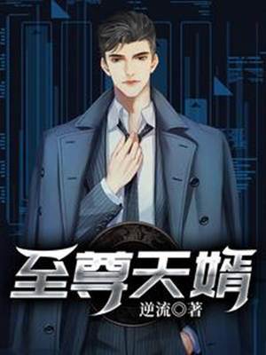 至尊天婿楚風林珺