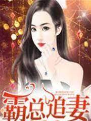 霍總再婚記
