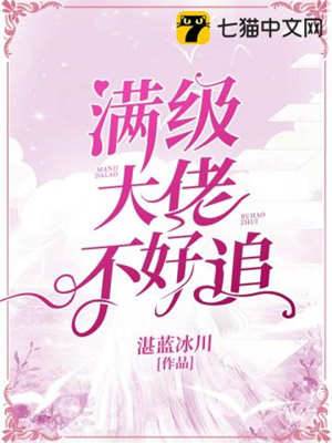 大佬偏要追