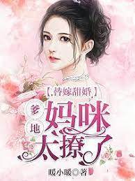 替嫁后她带崽归来
