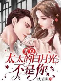 裴總，夫人不愛了