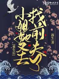 重生再寻前夫