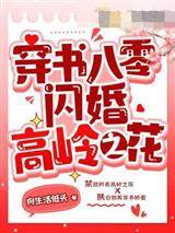 穿書八零閃婚高嶺之花