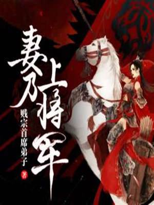 妻乃上將軍