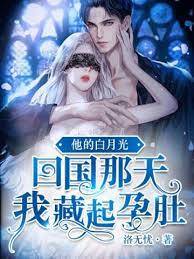 白月光归来我藏孕肚