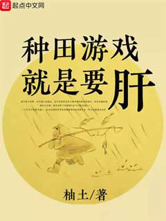 種田遊戲就是要肝