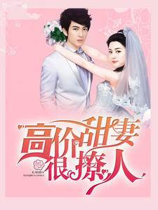 高價甜妻很撩人