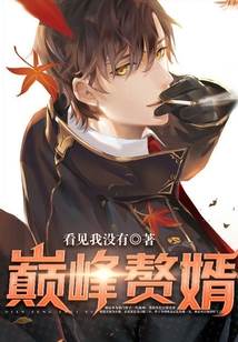 巔峰贅婿