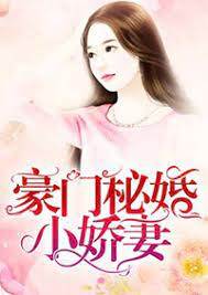 豪门隐婚娇妻