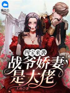 四宝来袭战爷追妻