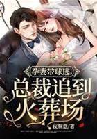 孕妻出逃總裁追悔